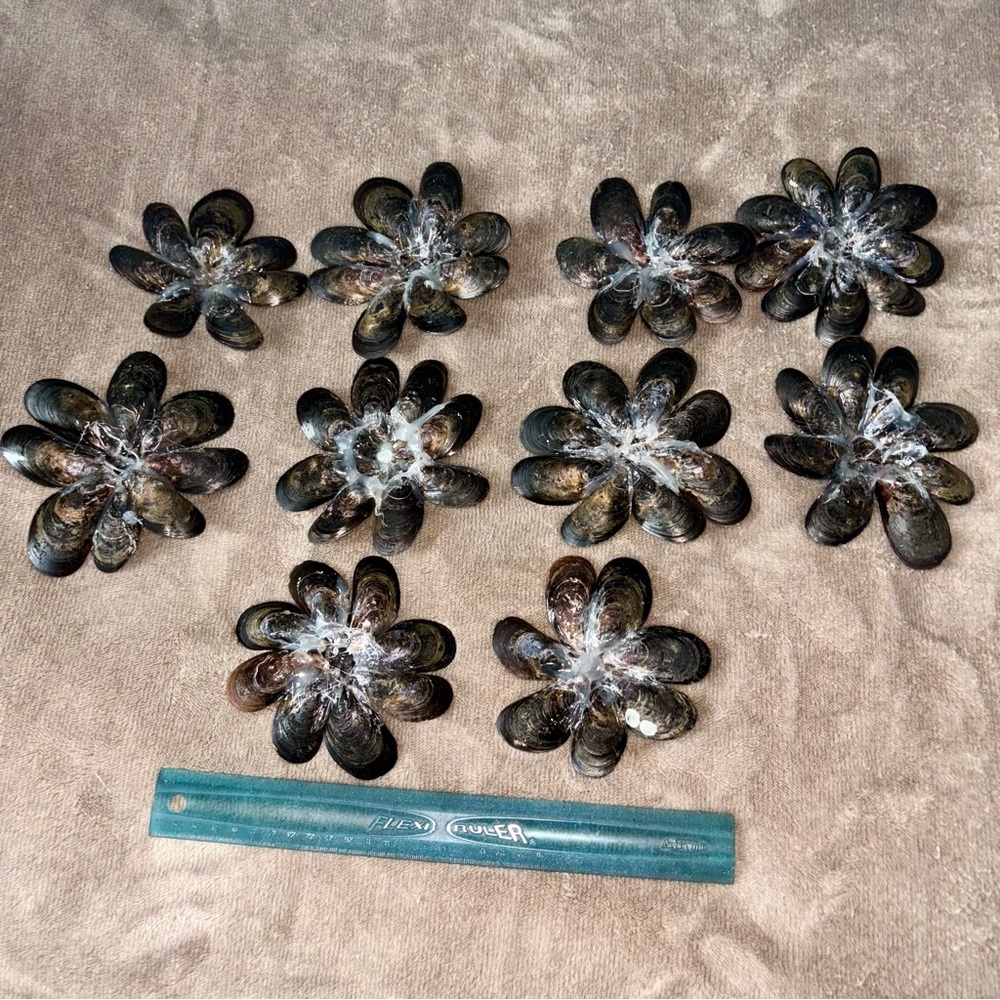 Delicate Shell Flowers - Picture 7 of 8